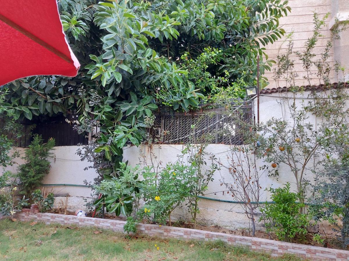 Lovely At Mamora Beach: Beachfront Garden Oasis Alexandria